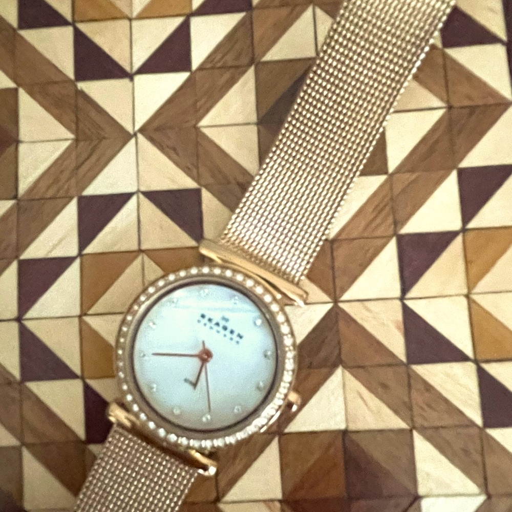 Women’s Skagen watch